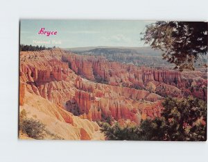 Postcard Bryce National Park, Utah