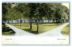 Fremont City Park Nebraska 1907 Madison Vintage Antique Postcard 