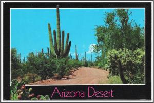 Arizona Desert Display - [AZ-074X]