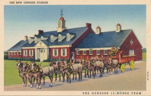 Genesee Brewery 12-Horse Team and Stables, Rochester, New York - Linen