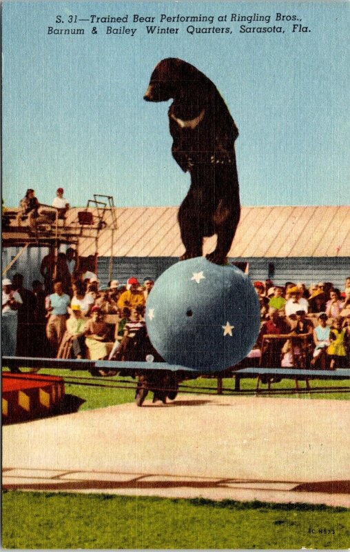 Ringling Bros Barnum & Bailey Winter Quarters Sarasota Florida Bear DB Postcard 