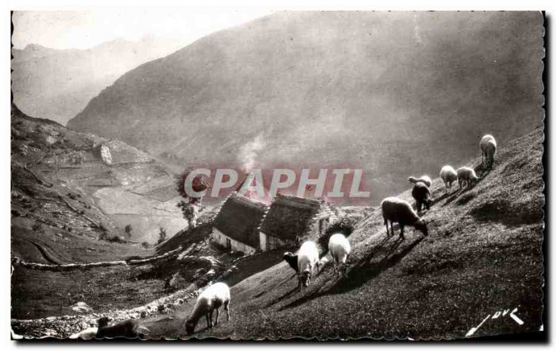 Postcard Old Earth pyreneen high mountain Sheep Pasture