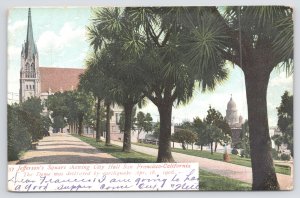San Francisco California~Jefferson Square City Hall & Palms~Vintage Postcard