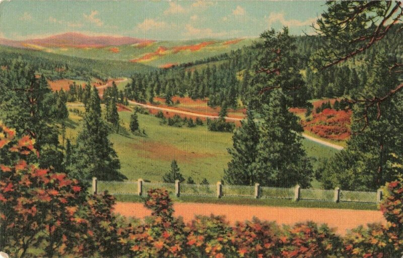 Postcard Taos Canyon from Palo Flechado Pass New Mexico