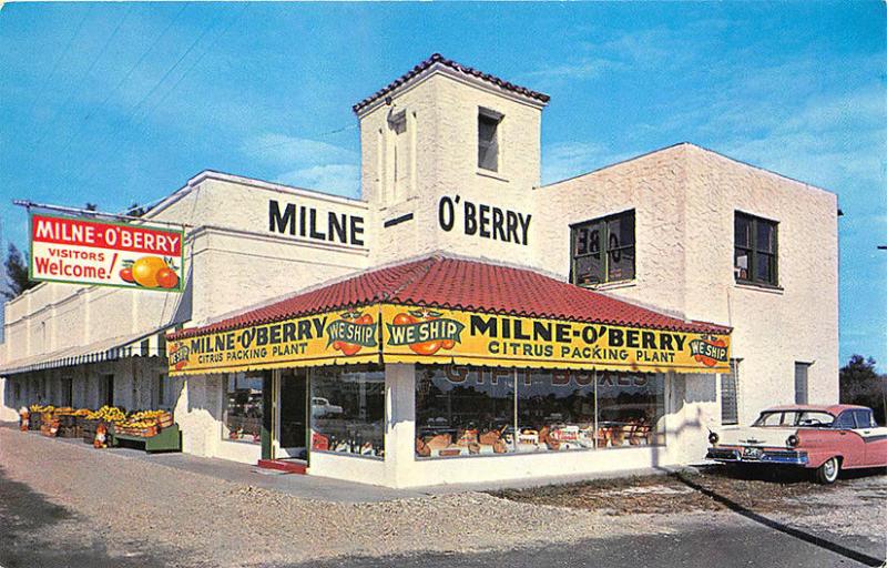 St Petersburg FL Milne-O' Berry Citrus Packing Drive-in Ford Car Postcard