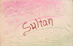 Air Brushed Embossed Postcard Greetings From Sultan WA Snohomish County