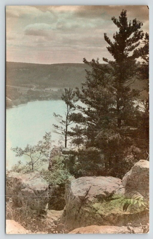 Lake Champlain?* New York~Vista Portrait 1920s Lovely Colorized RPPC Postcard 