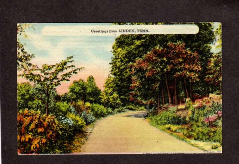 TN Greetings From Linden Tenn Tennessee Postcard Linen PC