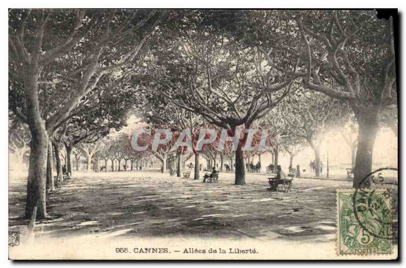 Postcard Old Cannes Allees de la Liberte