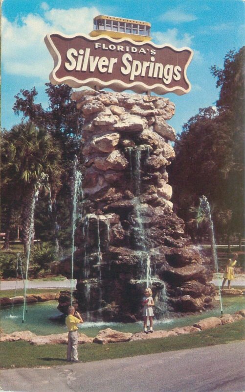 Silver Springs Florida  Entrance Sign, Little Kids Vintage Chrome Postcard