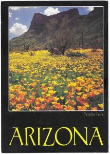 US Arizona Picacho Peak.  Beautiful