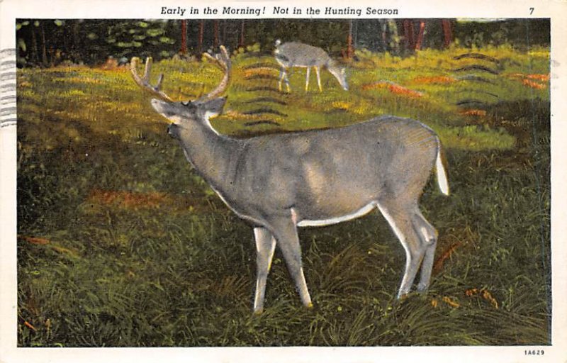 Early in the Morning! Deer 1940 postal marking on front