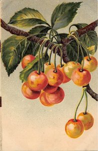 Fruit on a Limb Still Life Unused 