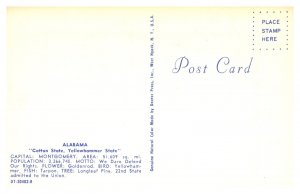 Postcard State Map - Alabama greetings state flower