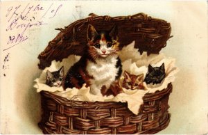 PC CATS, FOUR CATS IN A BOX, Vintage LITHO Postcard (b46839)