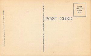 Arizona Phoenix Washington Street City Hall autos Teich 1940s Postcard 22-9393