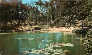 Vintage Postcard Lotus Pool, Taichung City Park, Taiwan, Posted 1947 Hsinchu ROC