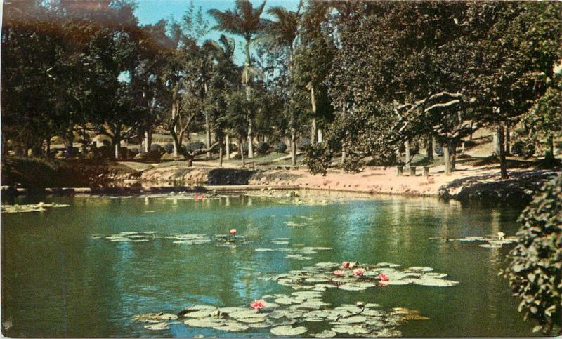 Vintage Postcard Lotus Pool, Taichung City Park, Taiwan, Posted 1947 Hsinchu ROC