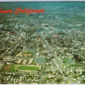 c1960s Petaluma, CA Birds Eye Aerial City Houses World's Egg Basket Cali. A217