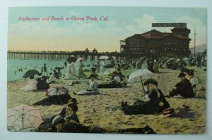 C.1905-10 Auditorium Beach Ocean Park, CA Vintage Postcard P88