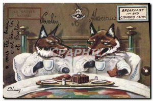 Postcard Old Wolf Wolves