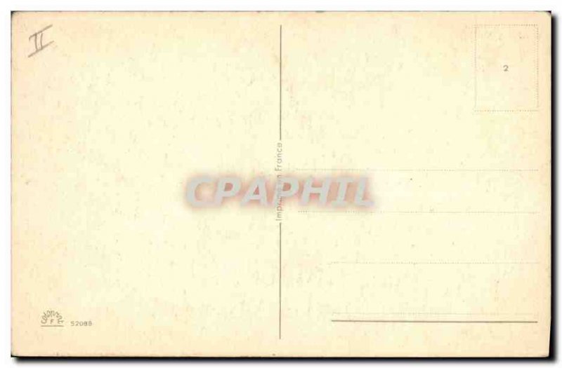 Old Postcard Cats Cat Kitten