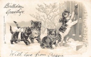 Animals Anthropomorphic Cats Ringing at Door Snow Humanized 1903 postcard B920