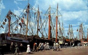 Fishing Vessels in Port - Gloucester, Massachusetts MA  