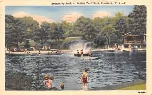 Swimming Pool in Stamford, New York