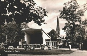 Netherlands Pekingtuin Baarn Vintage RPPC 03.74