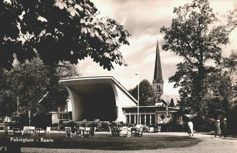 Netherlands Pekingtuin Baarn Vintage RPPC 03.74 