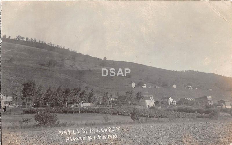 New York NY Real Photo RPPC Postcard 1921 NAPLES Looking North West HOMES