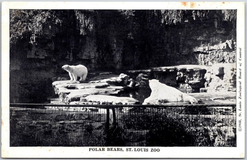 Polar Bears St. Louis Zoo Missouri MO Limestone Rock Formation Postcard