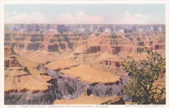 Fred Harvey View From Hopi Point Grand Canyon National Park Arizona Detroit P...