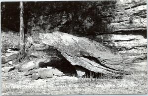 Wisconsin Dells - RPPC - Giant Turtle of the Lower Dells