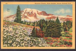 Mountain Flowers,White Heather,Rainier National Park BIN