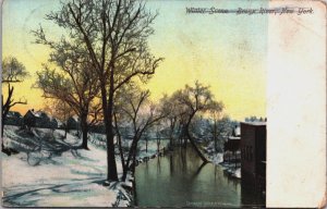 Winter Scene Bronx River New York City Vintage Postcard C097