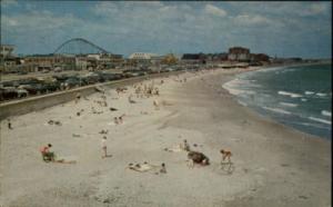 Nantasket Beach MA Bird-eye View Postcard