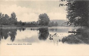 Passaic River above Pine Brook in Passaic River, New Jersey