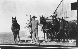 RPPC Ranch Ludden Dickey Co. North Dakota Cowboy Horses c1910s Vintage Postcard