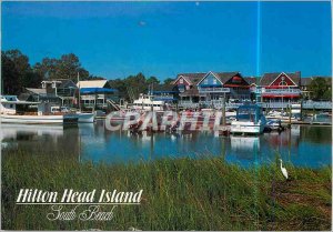 Modern Postcard Hilton Head Island South Carolina Beach