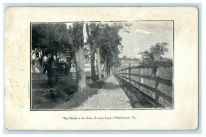 c1906 The Walk To The Stile Lover's Lane Middletown Pennsylvania PA Postcard 