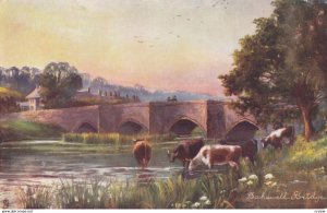 DERBYSHIRE, 1900-10s;  Bakewell Bridge; TUCK 7122