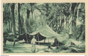 Algeria , 1910s ; Campement sous les Palmiers