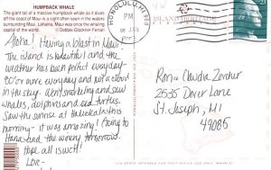 Humpback Whale Honolulu, Hawaii, USA Postcard