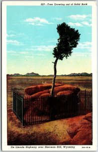 Tree Growing Out Of Solid Rock Lincoln Highway Sherman Hill Wyoming WY Postcard