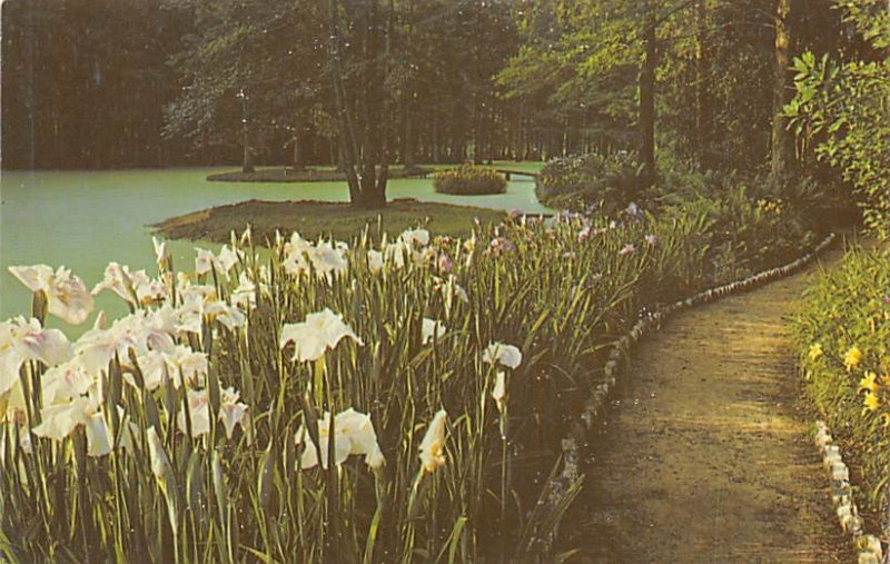 Swan Lake Iris Gardens Sumter, South Carolina  