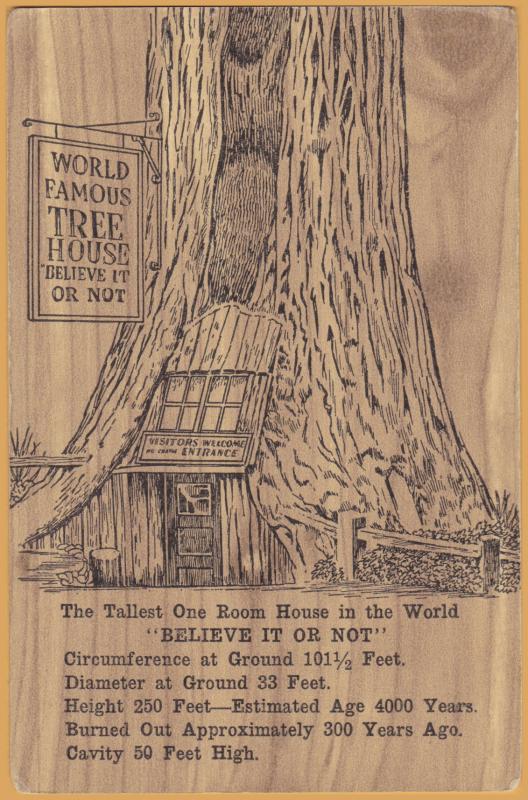 Piercy, Calif., World Famous Tree House - 