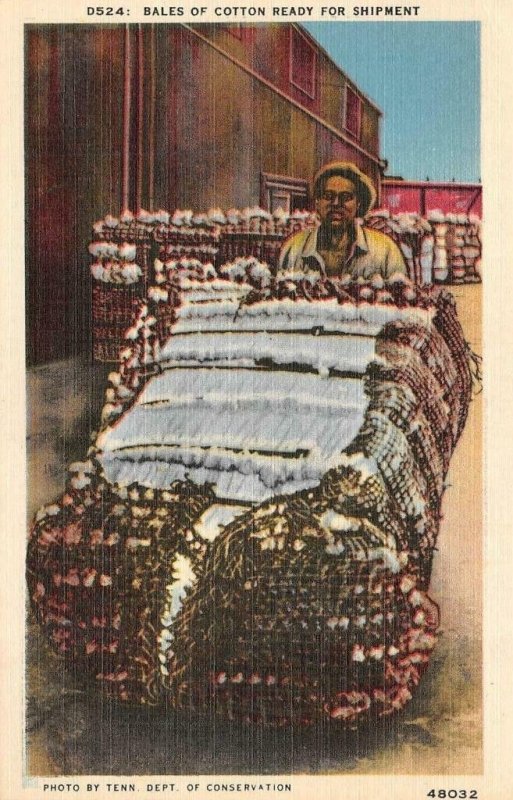 TN, Tennessee MAN Pushing BALES of COTTON Black Americana c1940's Linen Postcard