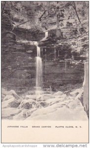 Japanese Falls Grand Canyon Platte Clove New York Albertype